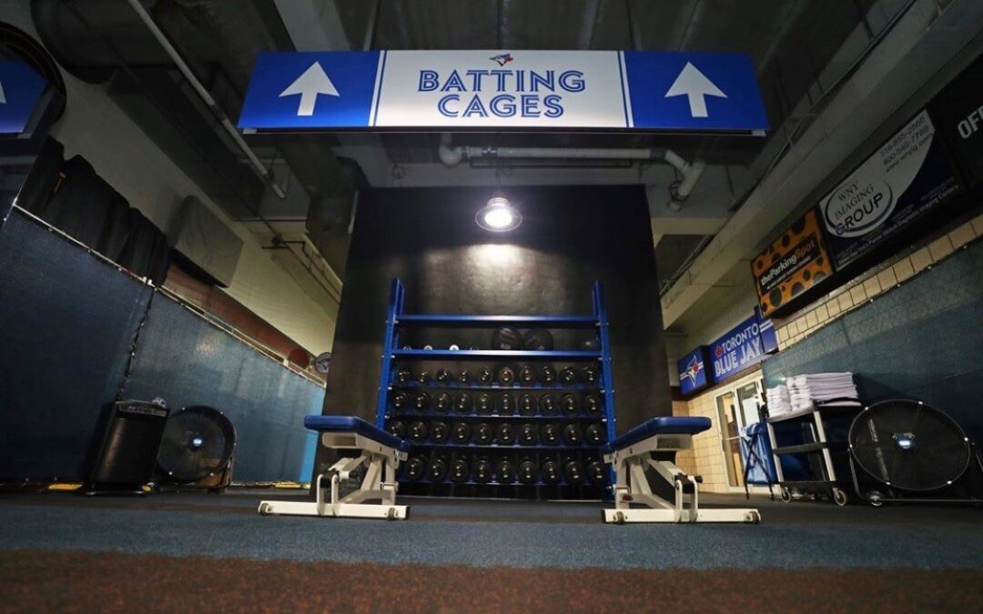 Blue Jays Stadium Graphics